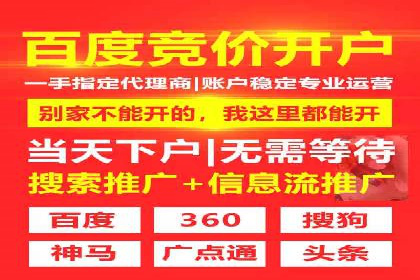 sem托管服务案例：如何实现广告投放精准化